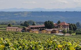 Tenuta Montebello